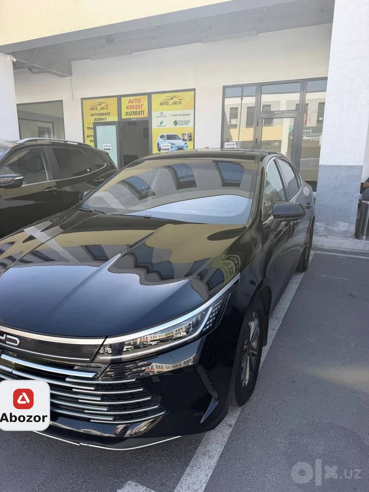 BYD Chazor