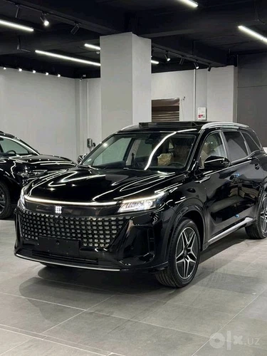 Dongfeng EP 008