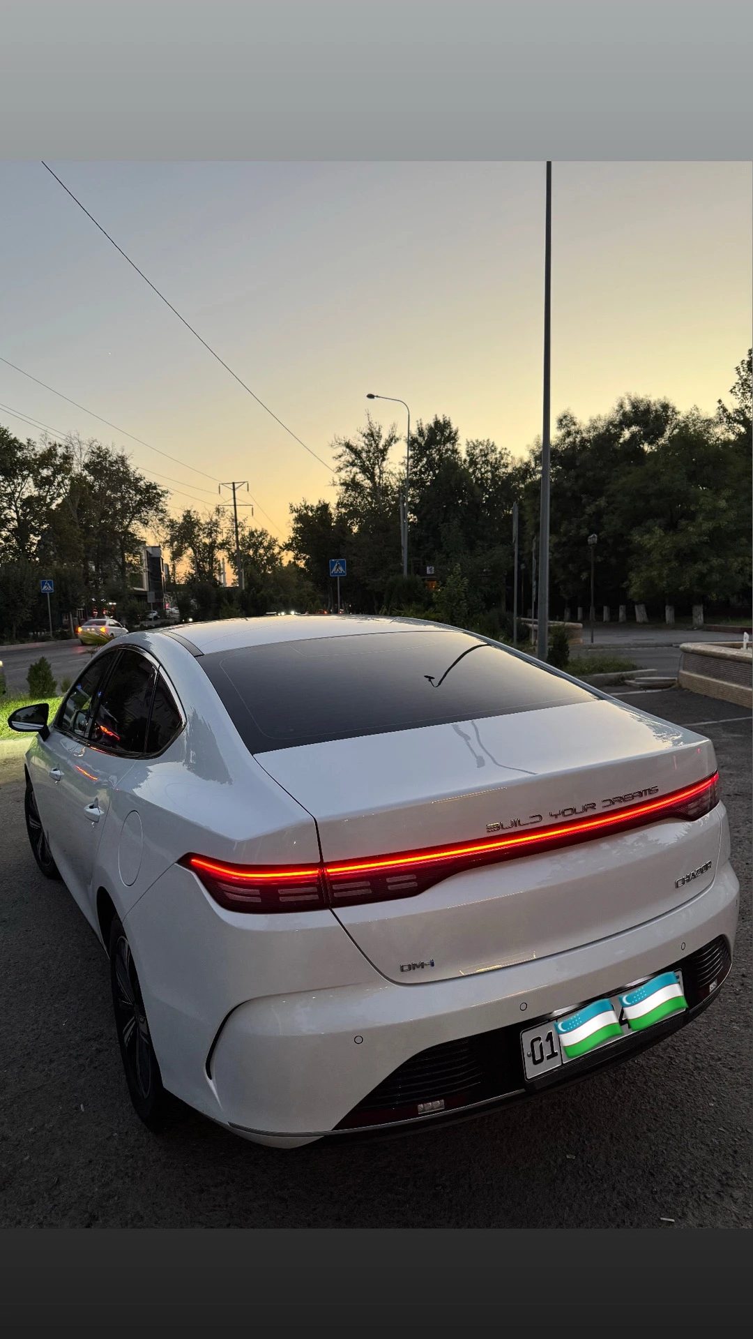 BYD Chazor