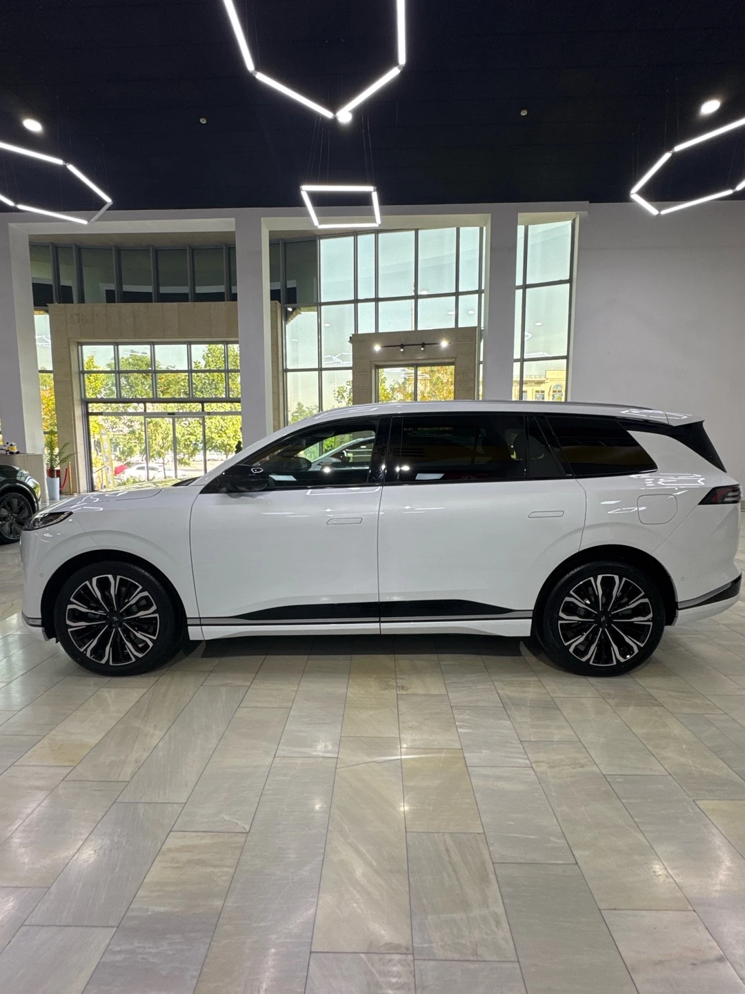 Dongfeng EP 008