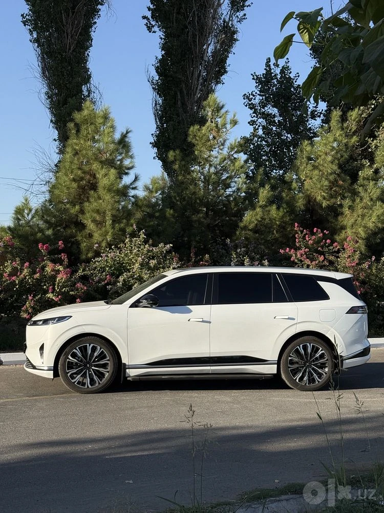 Dongfeng EP 008