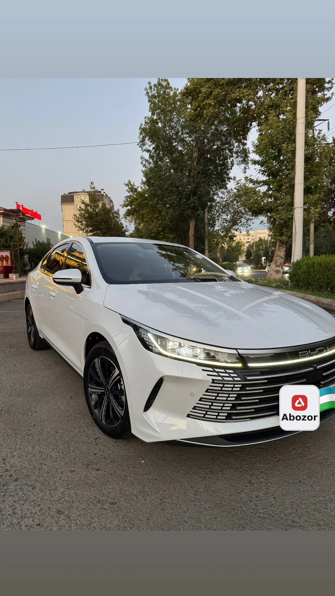 BYD Chazor