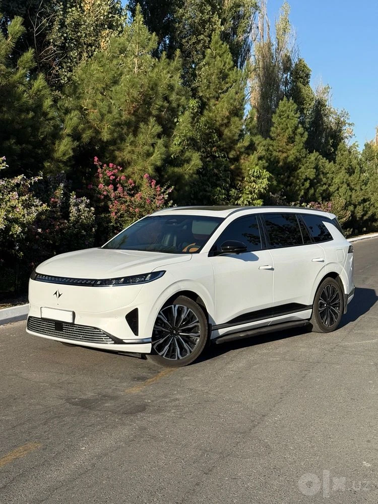 Dongfeng EP 008
