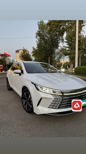 BYD Chazor