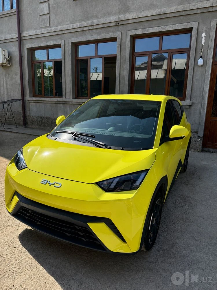 BYD Seagull
