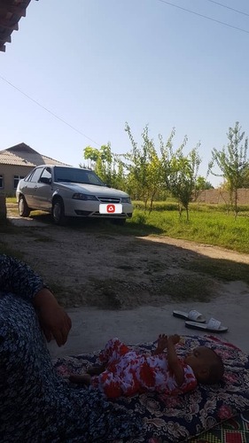 Chevrolet Nexia, 2009, Surxondaryo