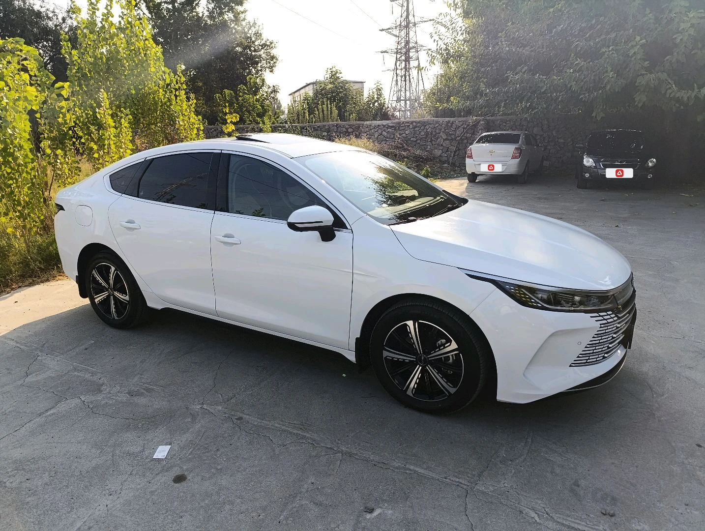 BYD Chazor