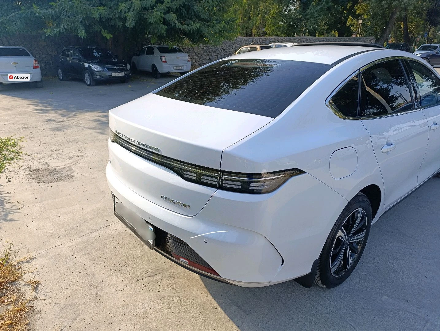 BYD Chazor