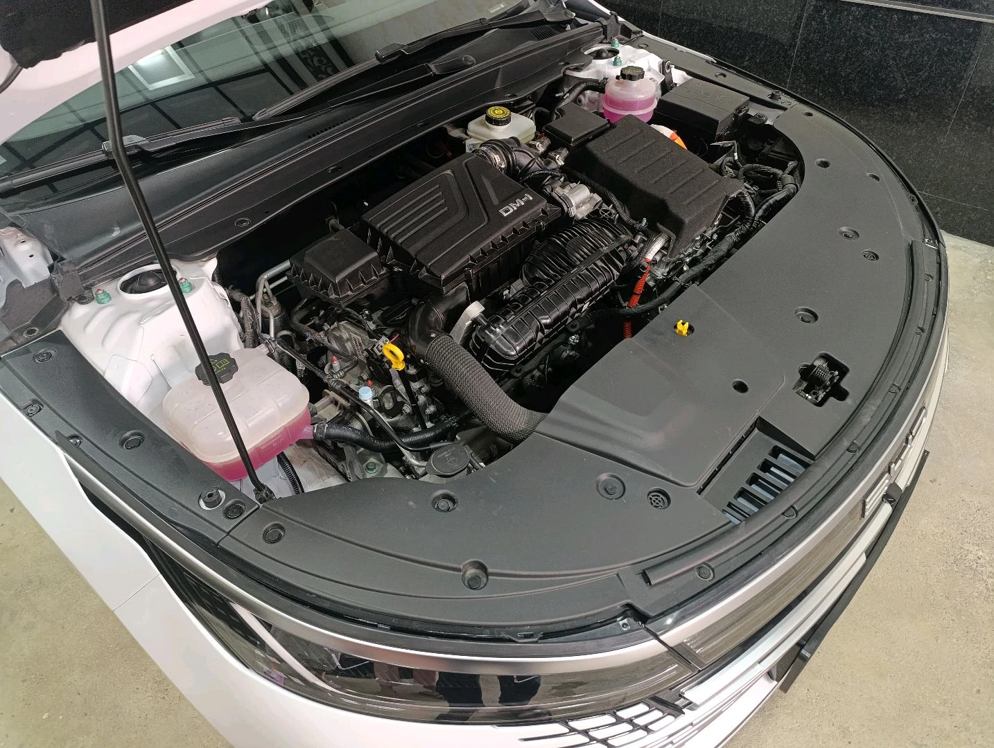 BYD Chazor