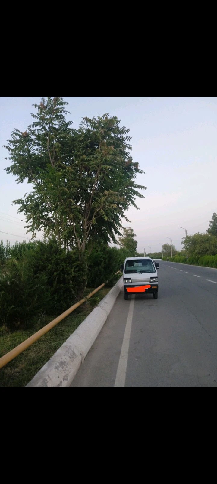 Chevrolet Labo