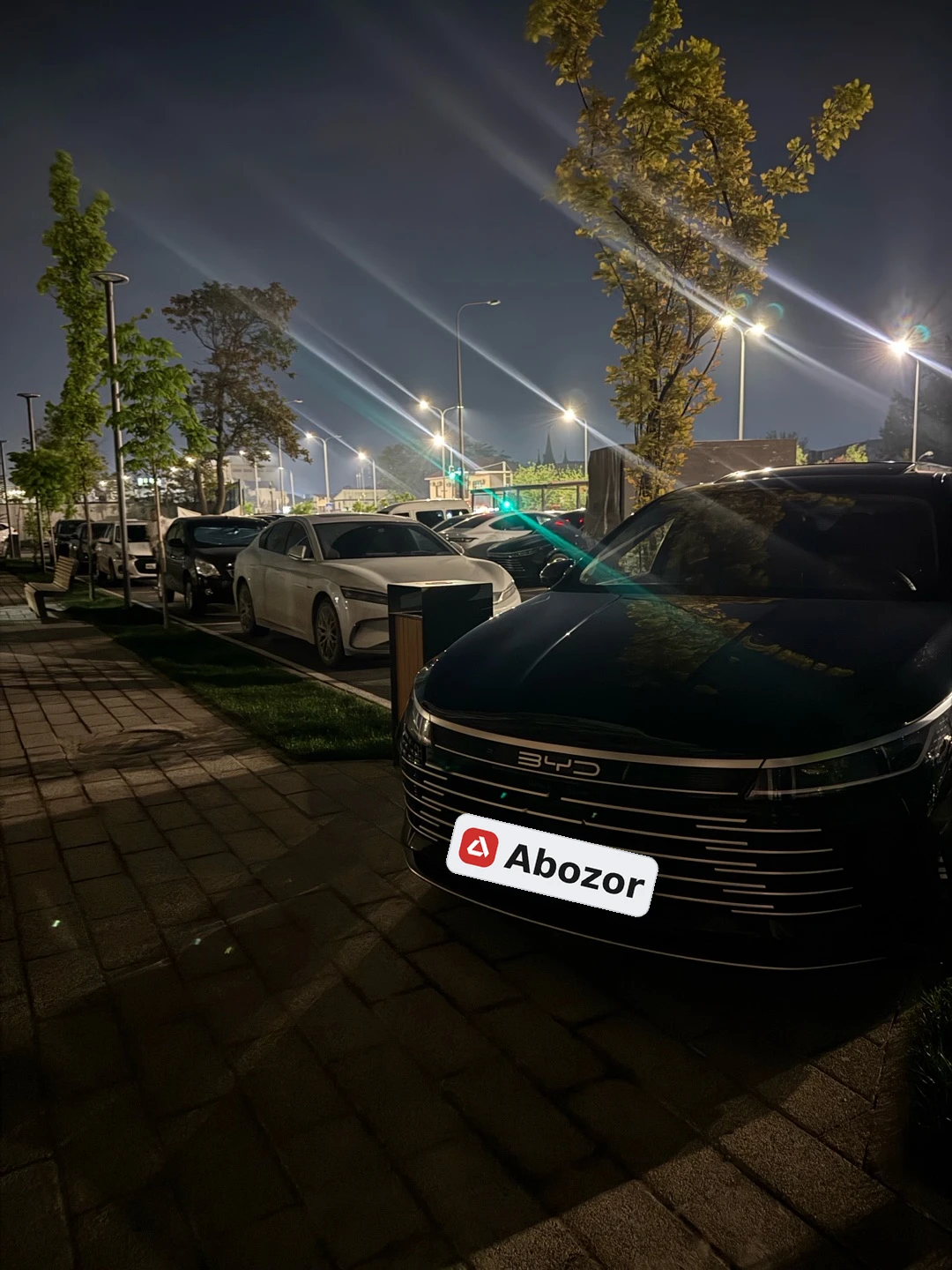 BYD Chazor