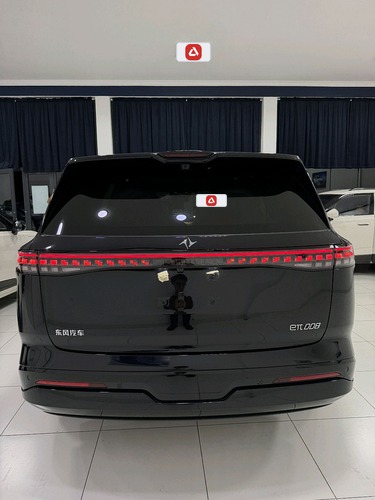 Dongfeng EP 008