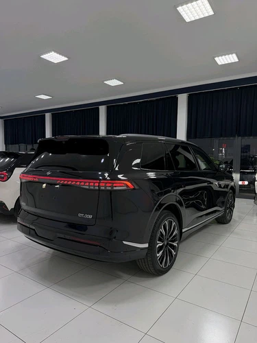 Dongfeng EP 008