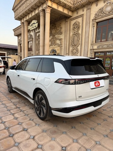 Dongfeng EP 008