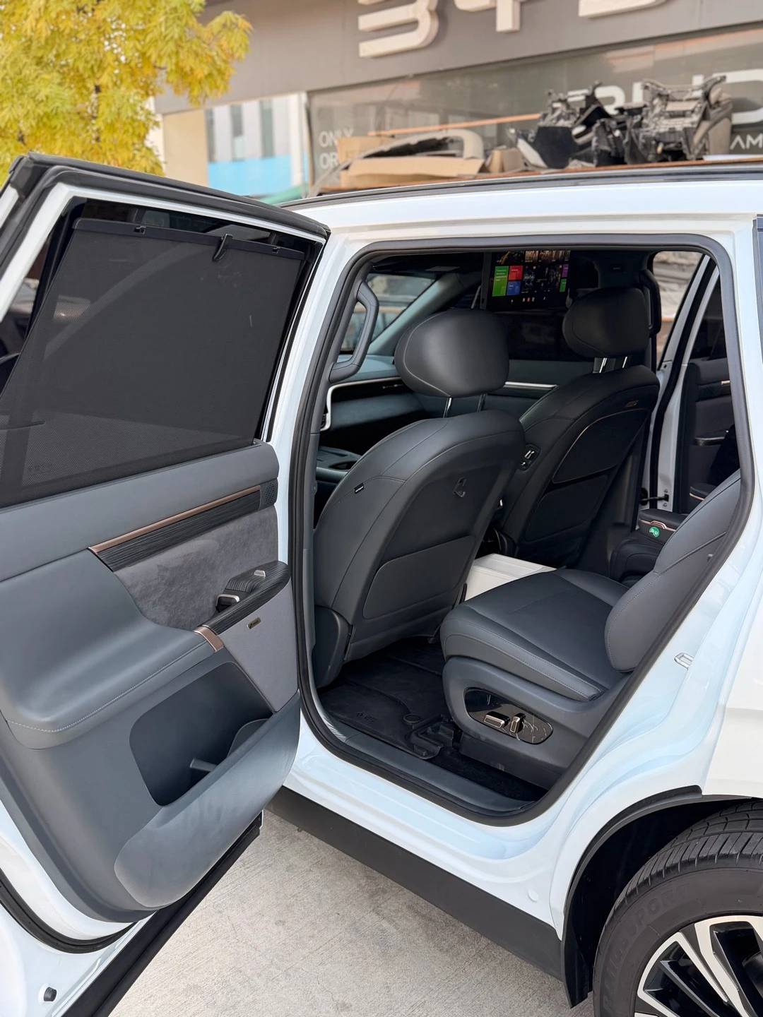 Dongfeng EP 008