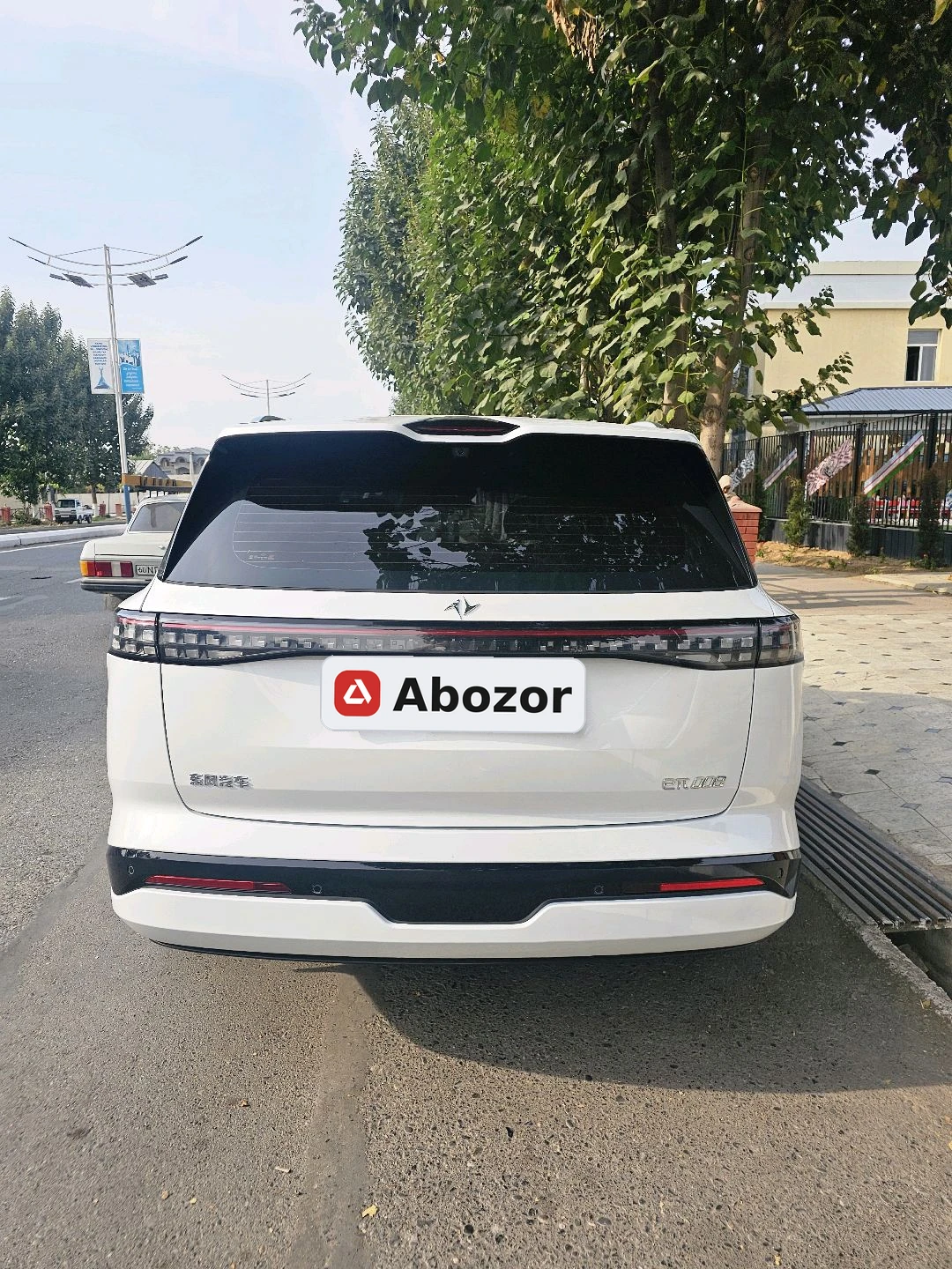 Dongfeng EP 008