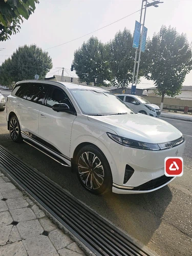 Dongfeng EP 008
