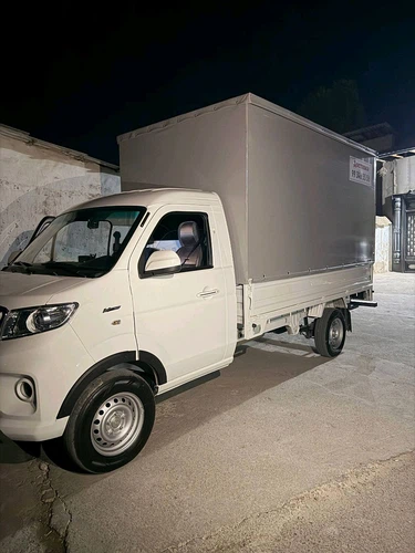Changan T30