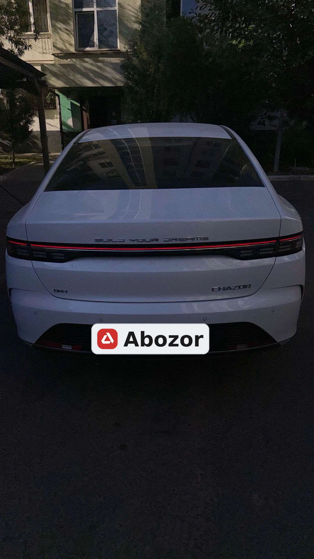 BYD Chazor