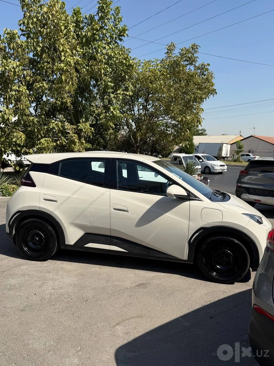 BYD Seagull