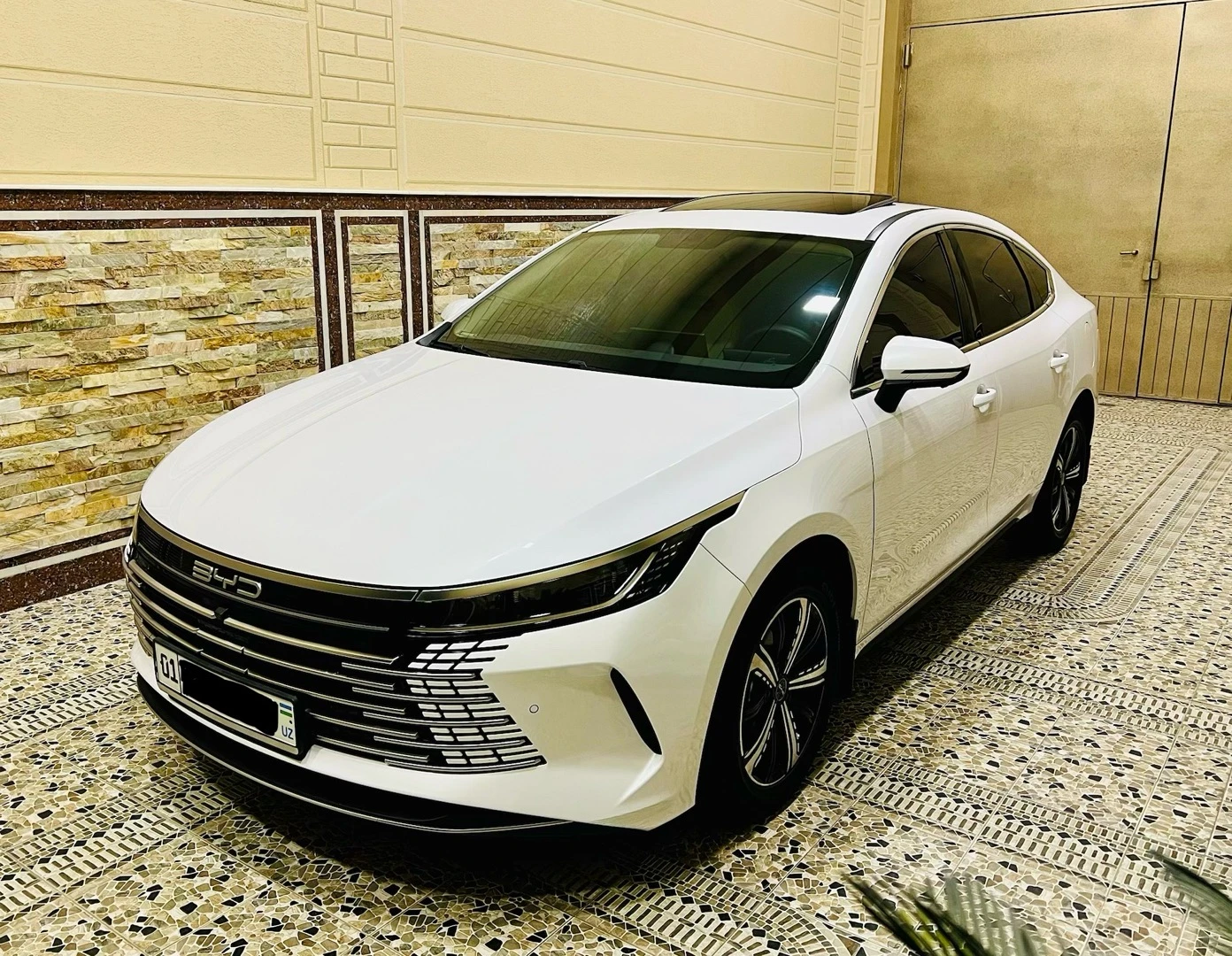 BYD Chazor