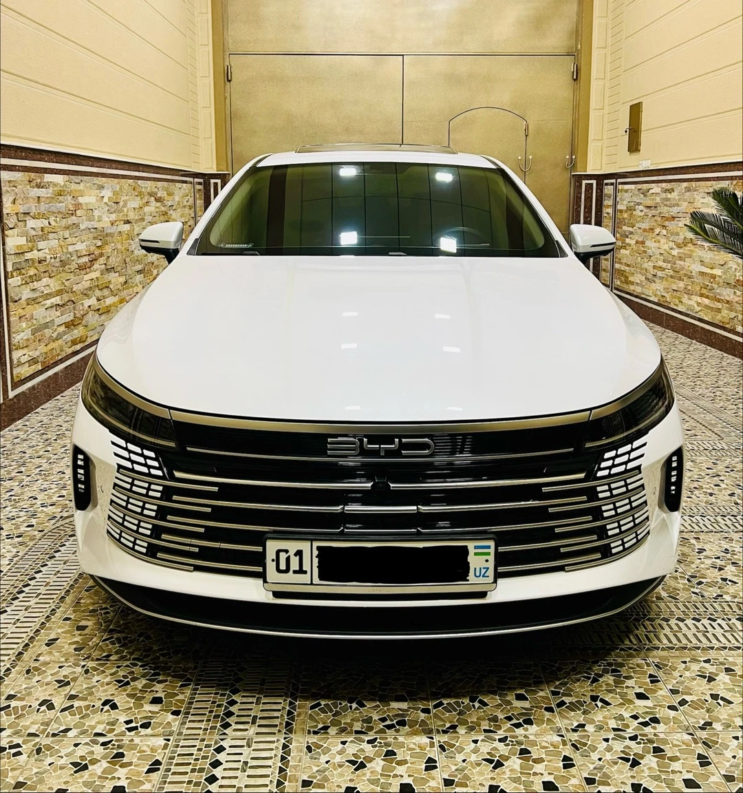 BYD Chazor