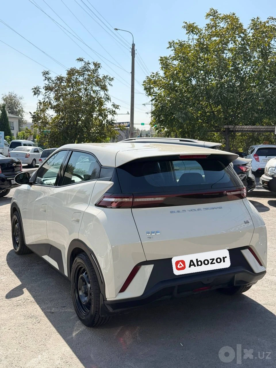 BYD Seagull