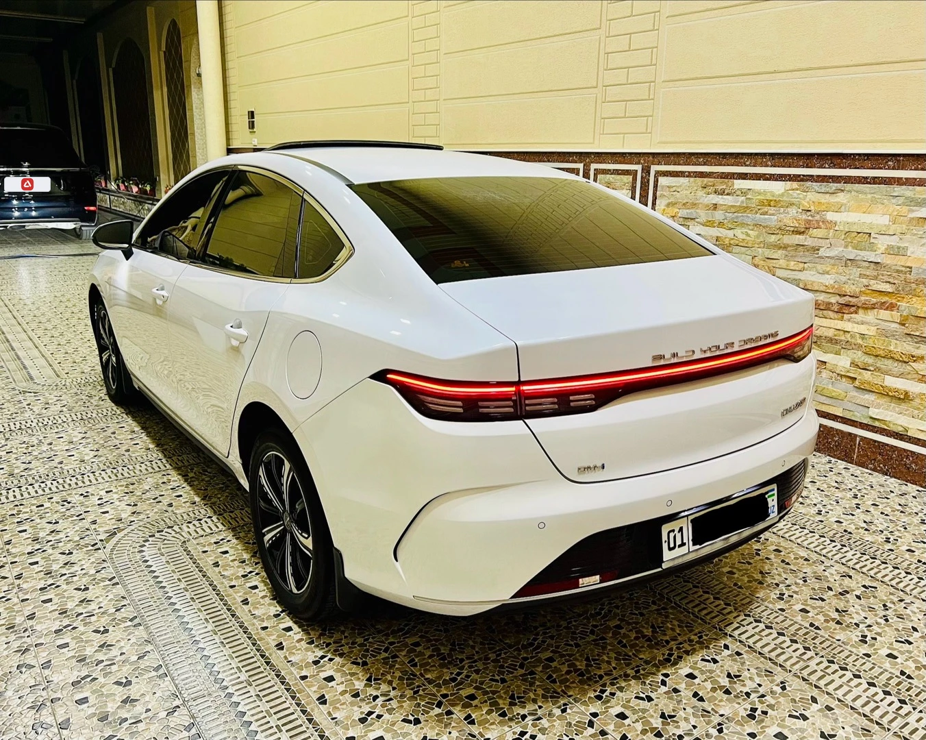BYD Chazor