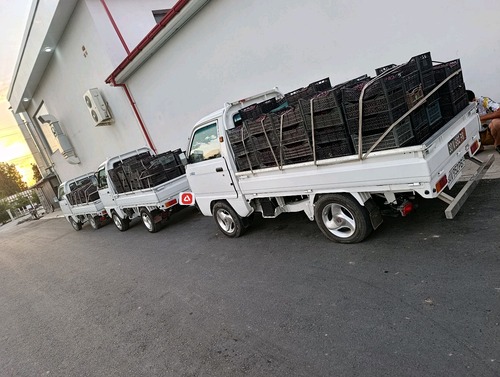 Chevrolet Labo