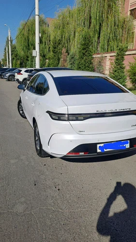 BYD Chazor