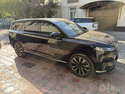 Dongfeng EP 008