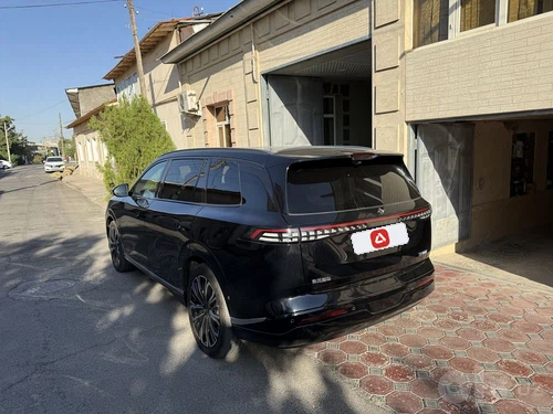 Dongfeng EP 008