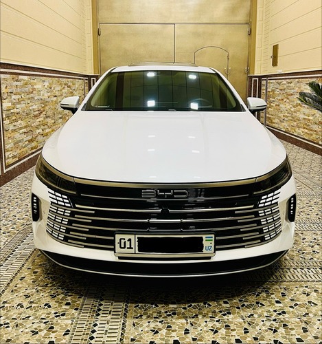 BYD Chazor