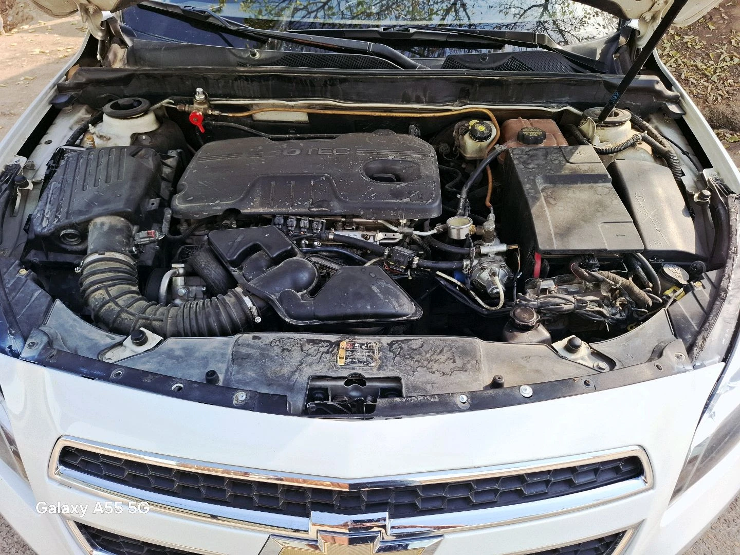 Chevrolet Malibu