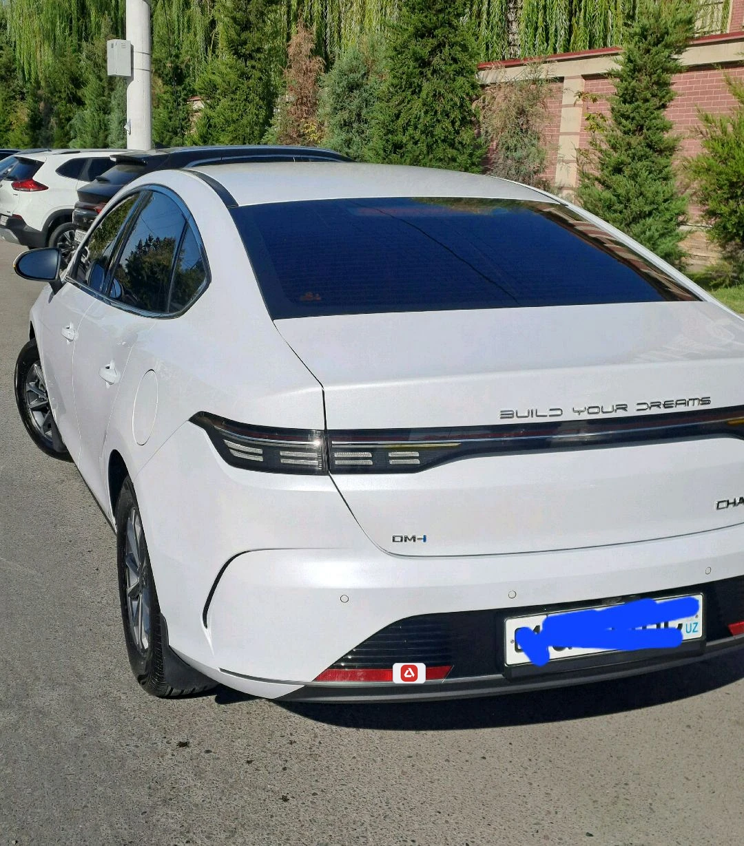 BYD Chazor