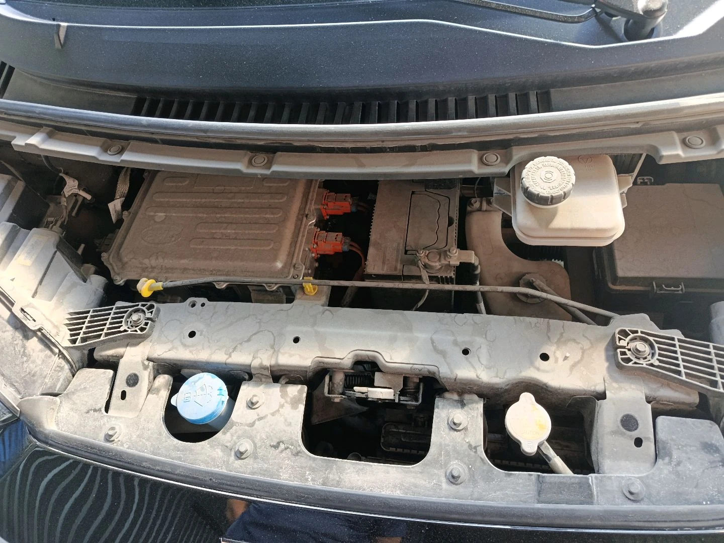 BYD Seagull