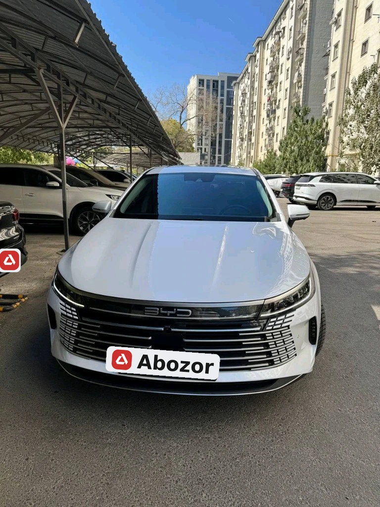 BYD Chazor