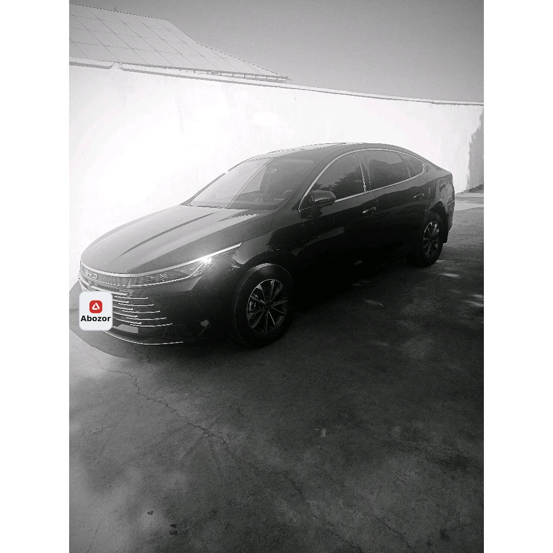 BYD Chazor