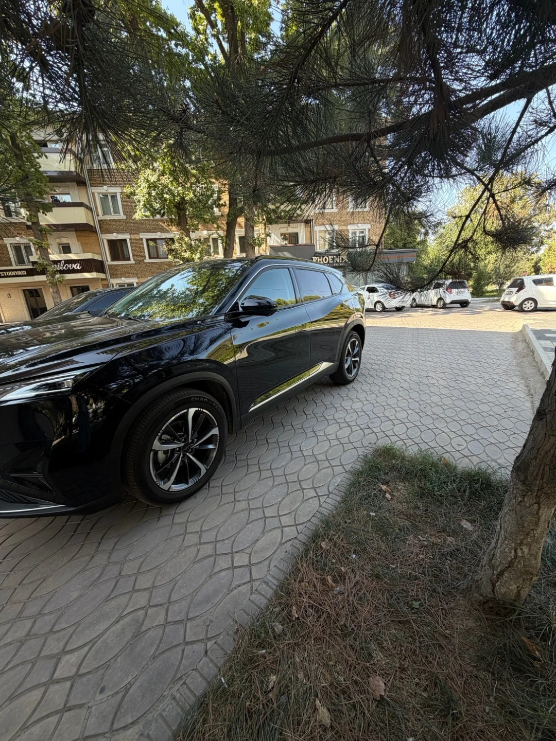 Dongfeng Aeolus Mage