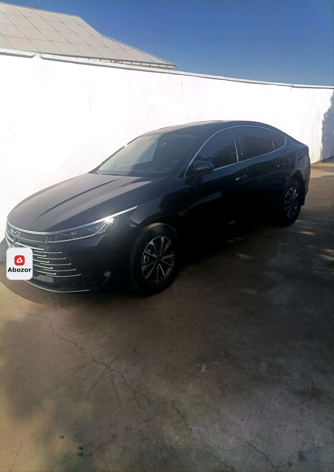 BYD Chazor