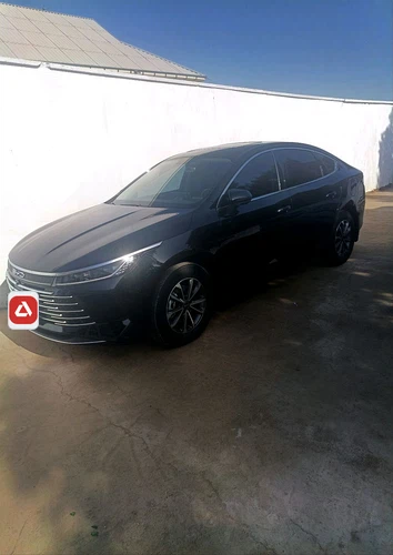 BYD Chazor