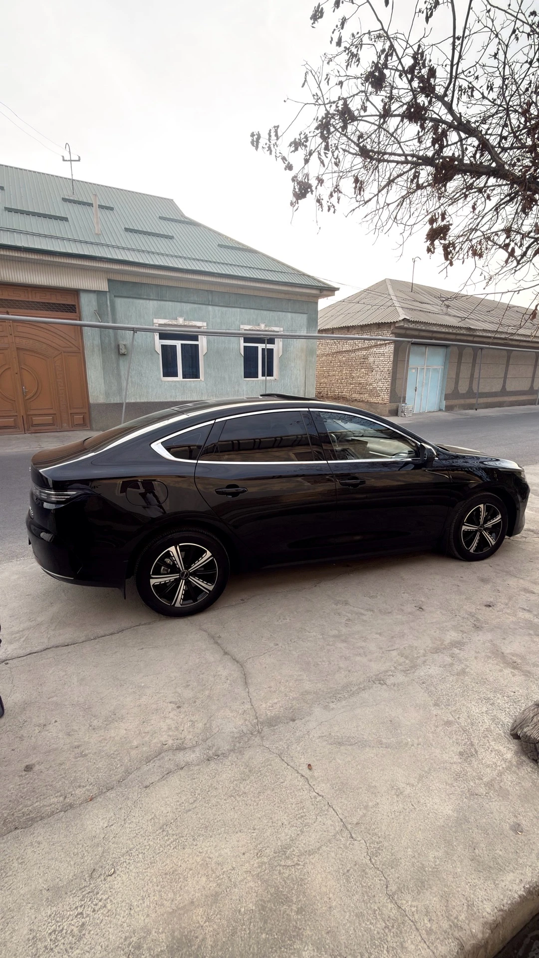 BYD Chazor
