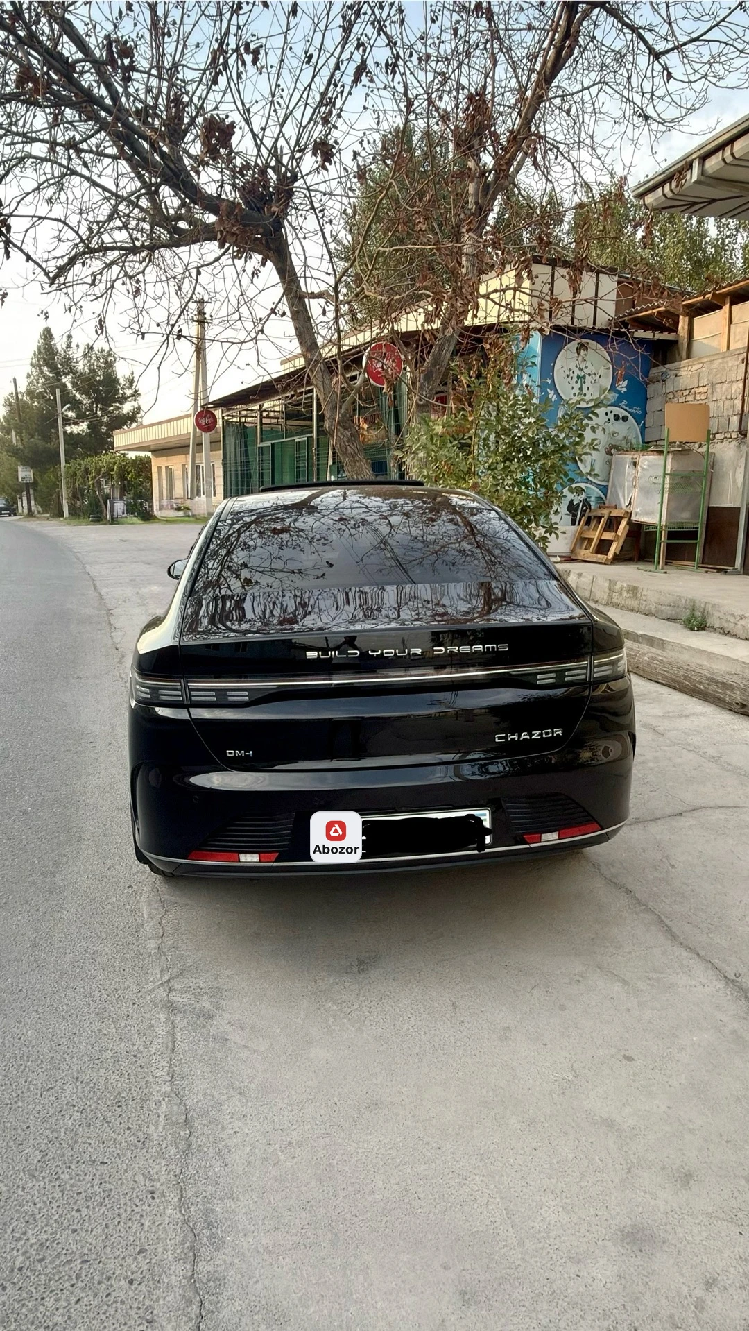 BYD Chazor