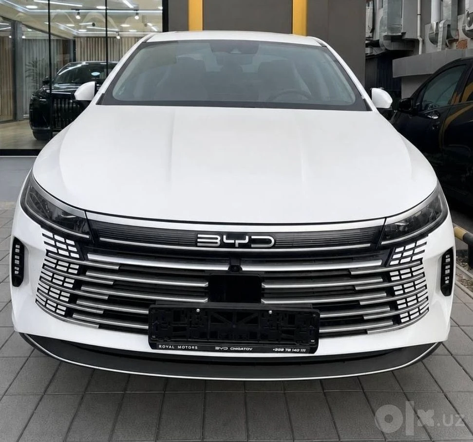 BYD Chazor
