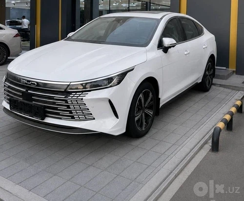BYD Chazor
