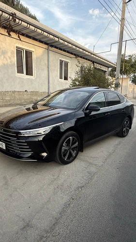 BYD Chazor