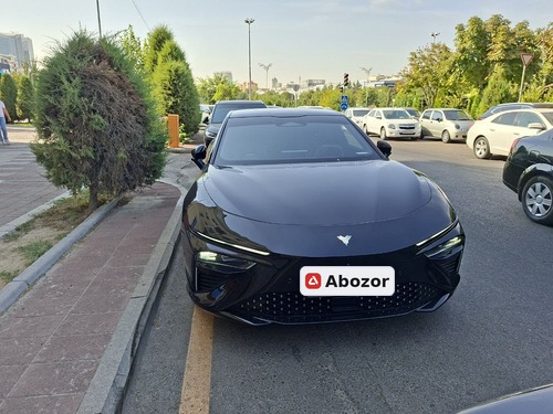 Hozon Neta S, 2023, Toshkent shahri