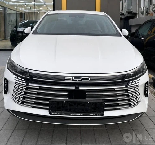 BYD Chazor