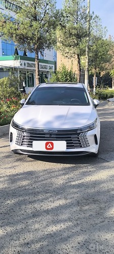 BYD Chazor, 2023, Navoiy