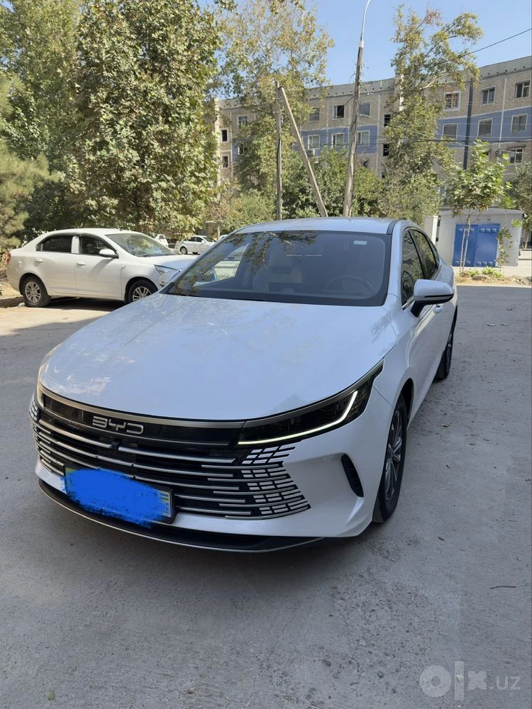 BYD Chazor, 2024, Toshkent – 2